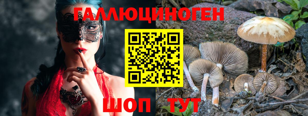 Псилоцибиновые грибы Magic Shrooms Аша